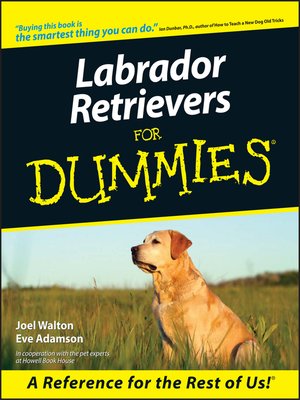 cover image of Labrador Retrievers For Dummies